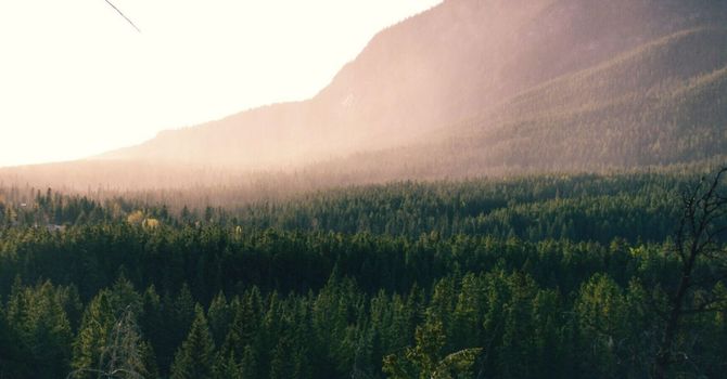 Toe Nail Fungus Removal