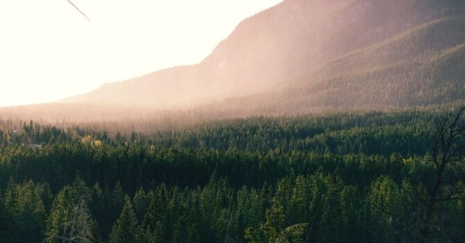 Matrix RF Skin Rejuvenation