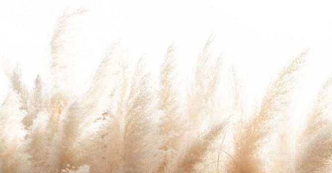 15 Minute Laser Facial